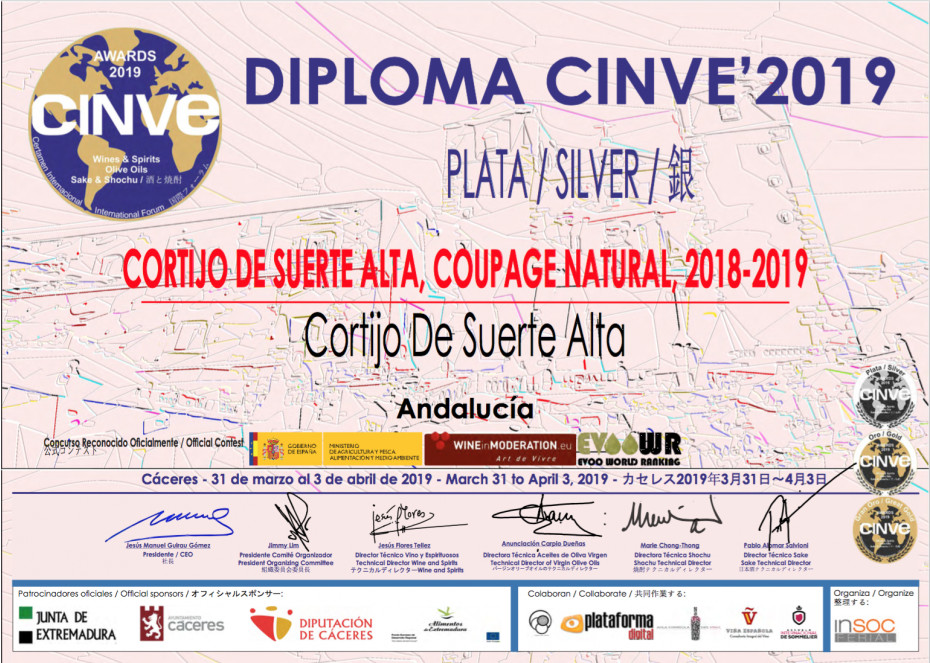CINVE 2019